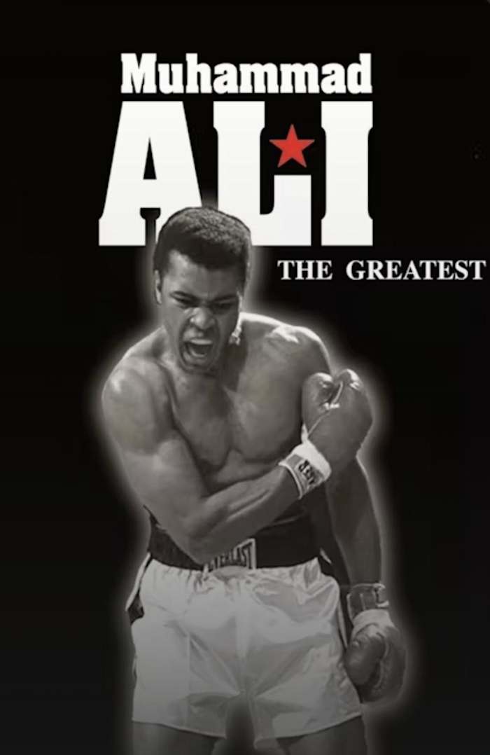 Screen Shot 2023-02-13 at 11.35.17 AM